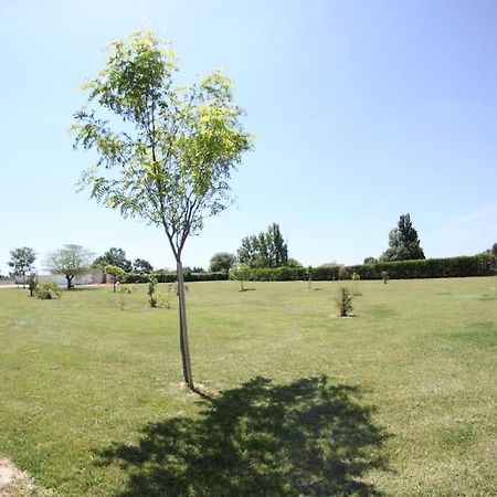 Appartement A 10Km De La Grande Motte, Palavas... Люнел Екстериор снимка